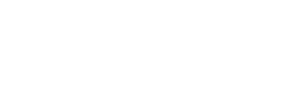 Southeast Plumbing & Electric logo